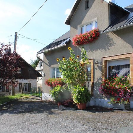 Ferienwohnung Am Muehlbach Klingenthal Esterno foto