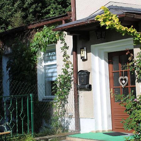 Ferienwohnung Am Muehlbach Klingenthal Esterno foto