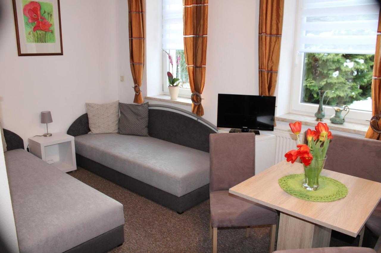 Ferienwohnung Am Muehlbach Klingenthal Esterno foto